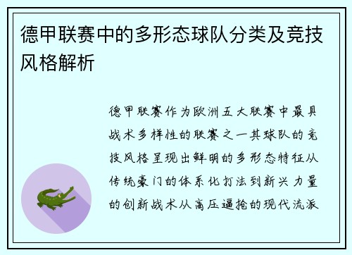 德甲联赛中的多形态球队分类及竞技风格解析